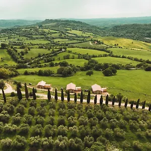 Terra - Tented Saturnia